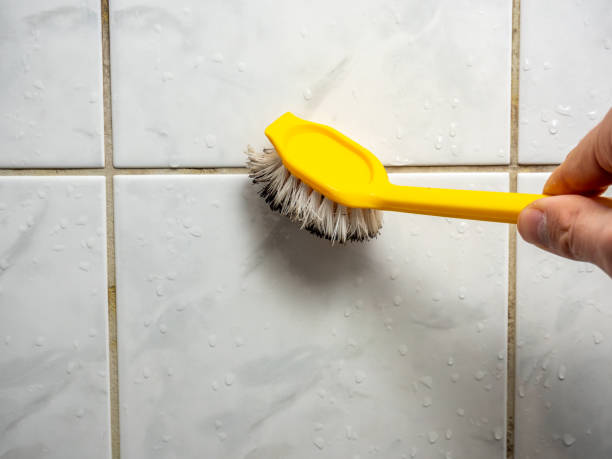 Best Same-Day Mold Removal  in Beardstown, IL